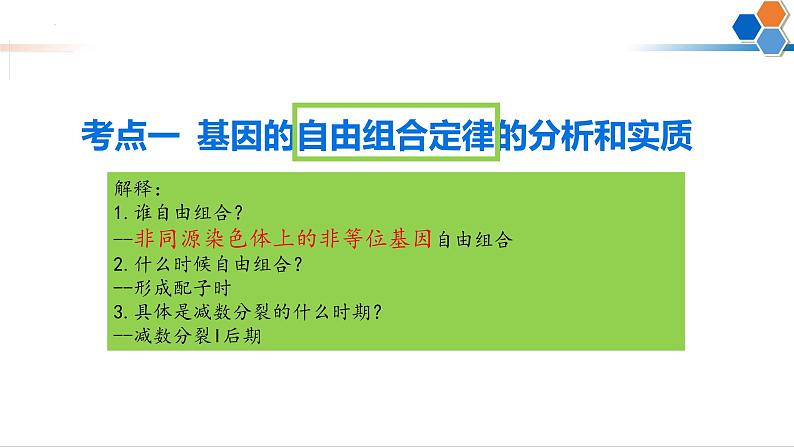 第14讲 自由组合定律-备战2025年高考生物一轮复习精优课件02