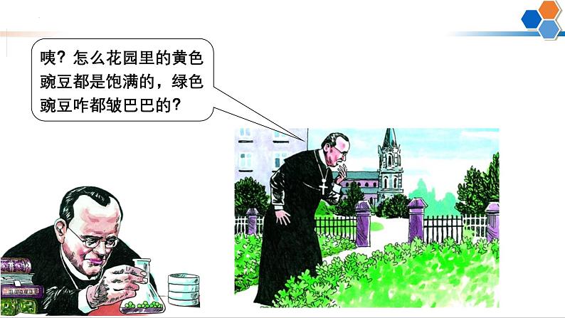 第14讲 自由组合定律-备战2025年高考生物一轮复习精优课件03