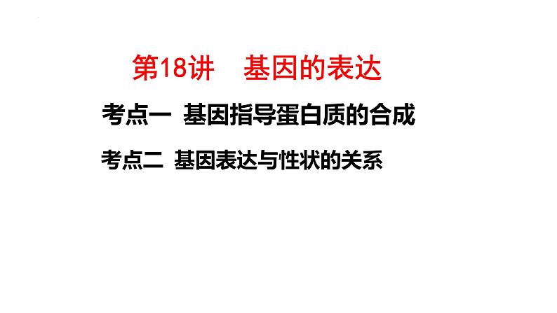 第18讲 基因的表达-备战2025年高考生物一轮复习精优课件第1页