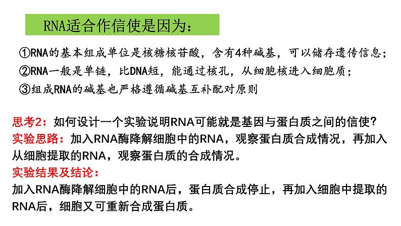 第18讲 基因的表达-备战2025年高考生物一轮复习精优课件第3页
