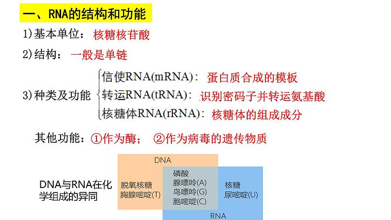第18讲 基因的表达-备战2025年高考生物一轮复习精优课件第5页