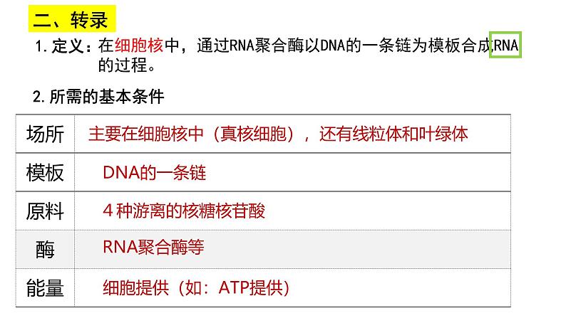 第18讲 基因的表达-备战2025年高考生物一轮复习精优课件第6页