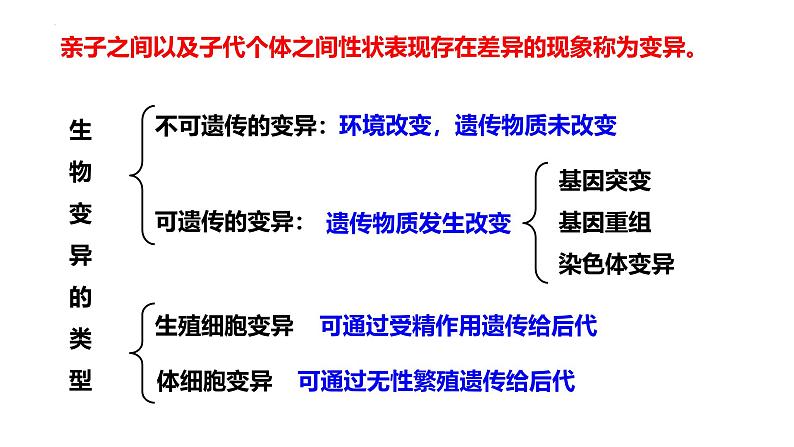 第19讲 基因突变和基因重组-备战2025年高考生物一轮复习精优课件第2页