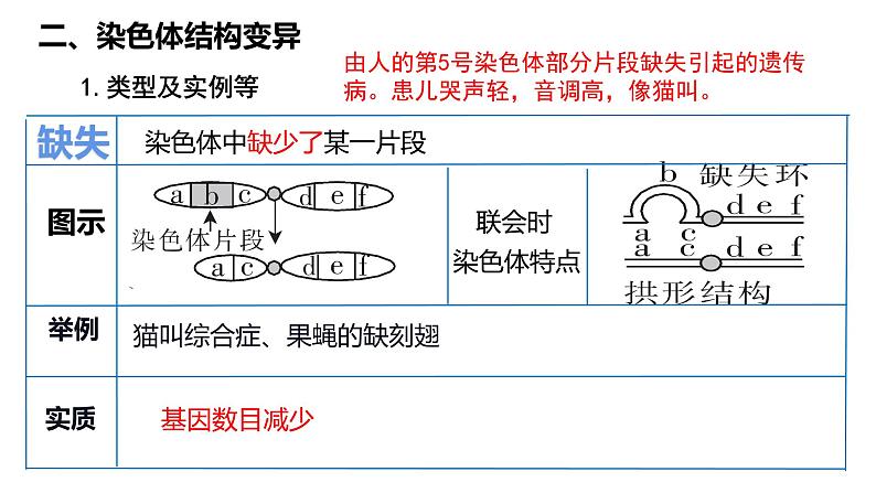 第20讲 染色体变异-备战2025年高考生物一轮复习精优课件第5页