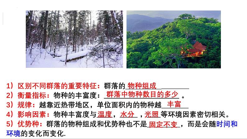 第28讲 群落的结构-备战2025年高考生物一轮复习精优课件第4页
