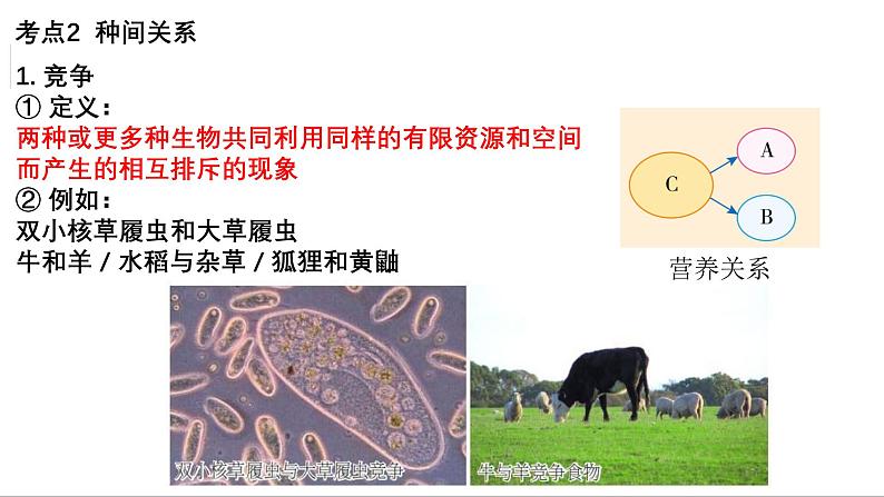 第28讲 群落的结构-备战2025年高考生物一轮复习精优课件第5页