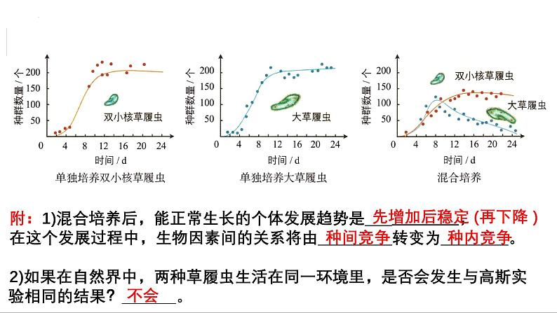 第28讲 群落的结构-备战2025年高考生物一轮复习精优课件第7页