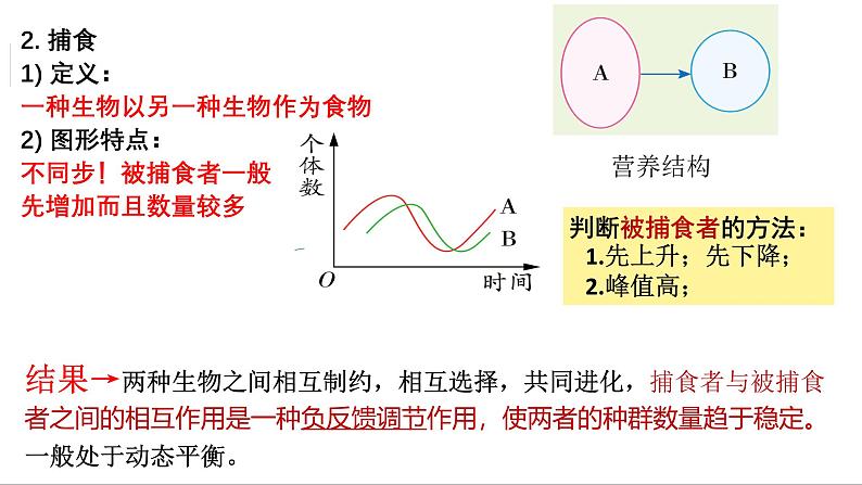 第28讲 群落的结构-备战2025年高考生物一轮复习精优课件第8页