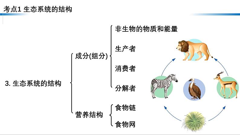 第29讲 生态系统的结构-备战2025年高考生物一轮复习精优课件第4页
