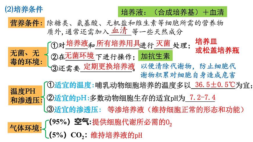第34講 動(dòng)物細(xì)胞工程-備戰(zhàn)2025年高考生物一輪復(fù)習(xí)精優(yōu)課件第3頁(yè)