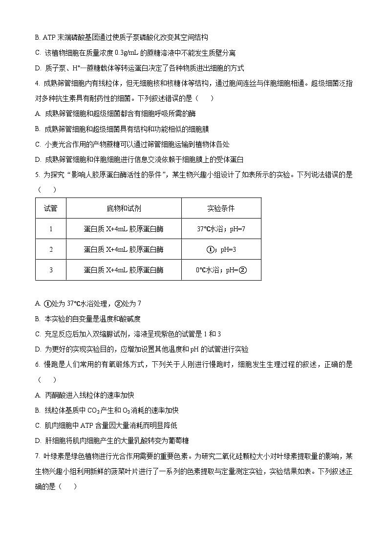山东省济宁市2023-2024学年高二下学期7月期末考试生物试题(Word版附解析)第2页