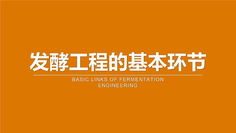 人教版2019高中生物选择性必修3课件1-3发酵工程及其应用(有限无水印版)07