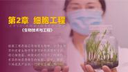 人教版 (2019)选择性必修3二 胚胎工程技术及其应用优质ppt课件
