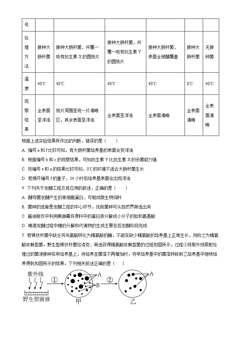 四川省内江市第一中学2023-2024学年高二下学期期中考试生物试卷(Word版附解析)02