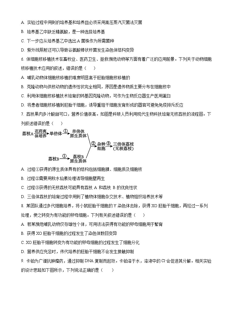 四川省内江市第一中学2023-2024学年高二下学期期中考试生物试卷(Word版附解析)03