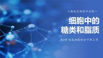 高中生物人教版 (2019)必修1《分子与细胞》第3节 细胞中的糖类和脂质课文内容ppt课件