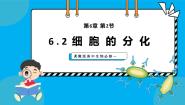 人教版 (2019)必修1《分子与细胞》第2节 细胞的分化教学ppt课件