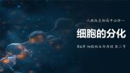 人教版 (2019)必修1《分子与细胞》第2节 细胞的分化评课ppt课件