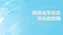 高中生物人教版 (2019)必修1《分子与细胞》第5章 细胞的能量供应和利用第1节 降低化学反应活化能的酶一 酶的作用和本质教课内容课件ppt