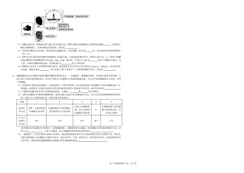 广西钦州市示范性高中2024-2025学年高三上学期开学考试生物03