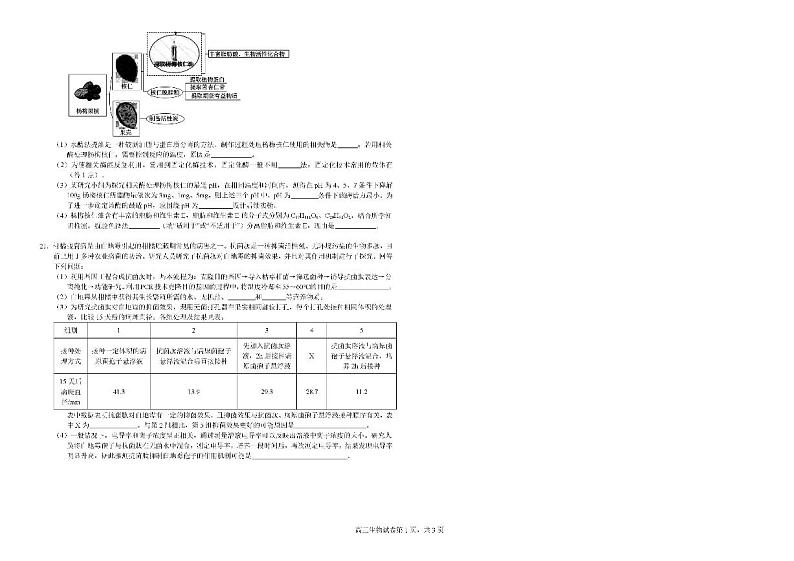 广西钦州市示范性高中2024-2025学年高三上学期开学考试生物03