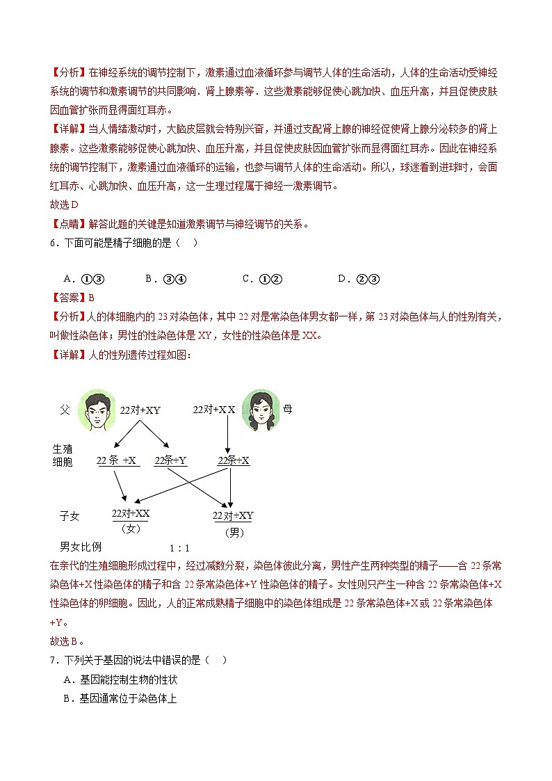 【开学考】2024年秋季高一上入学分班考试模拟卷 高一上生物(上海专用)03