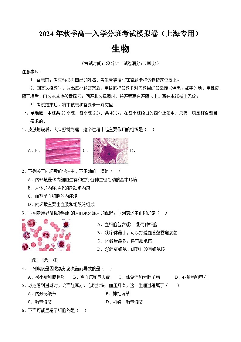 【开学考】2024年秋季高一上入学分班考试模拟卷 高一上生物(上海专用)01