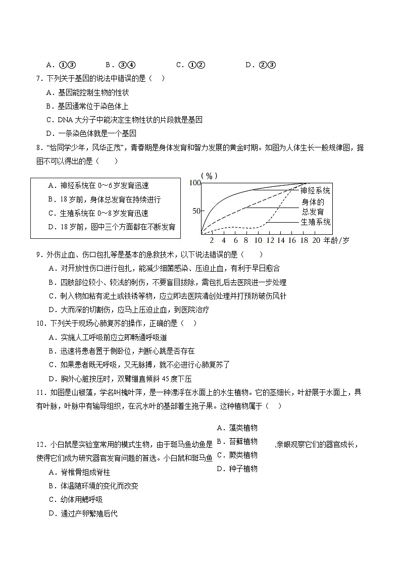 【开学考】2024年秋季高一上入学分班考试模拟卷 高一上生物(上海专用)02