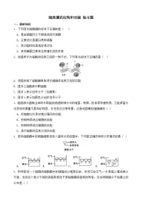 人教版 (2019)必修1《分子与细胞》第1节 细胞膜的结构和功能课后测评