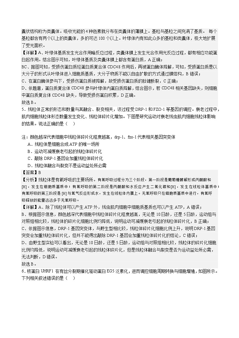 【开学考】2024秋高二上册开学摸底考试卷高二上册开学摸底考试卷生物(北京专用)03