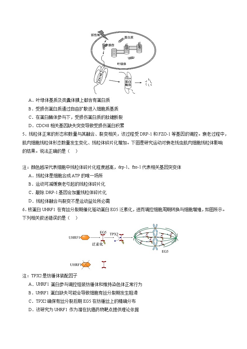 【开学考】2024秋高二上册开学摸底考试卷高二上册开学摸底考试卷生物(北京专用)02