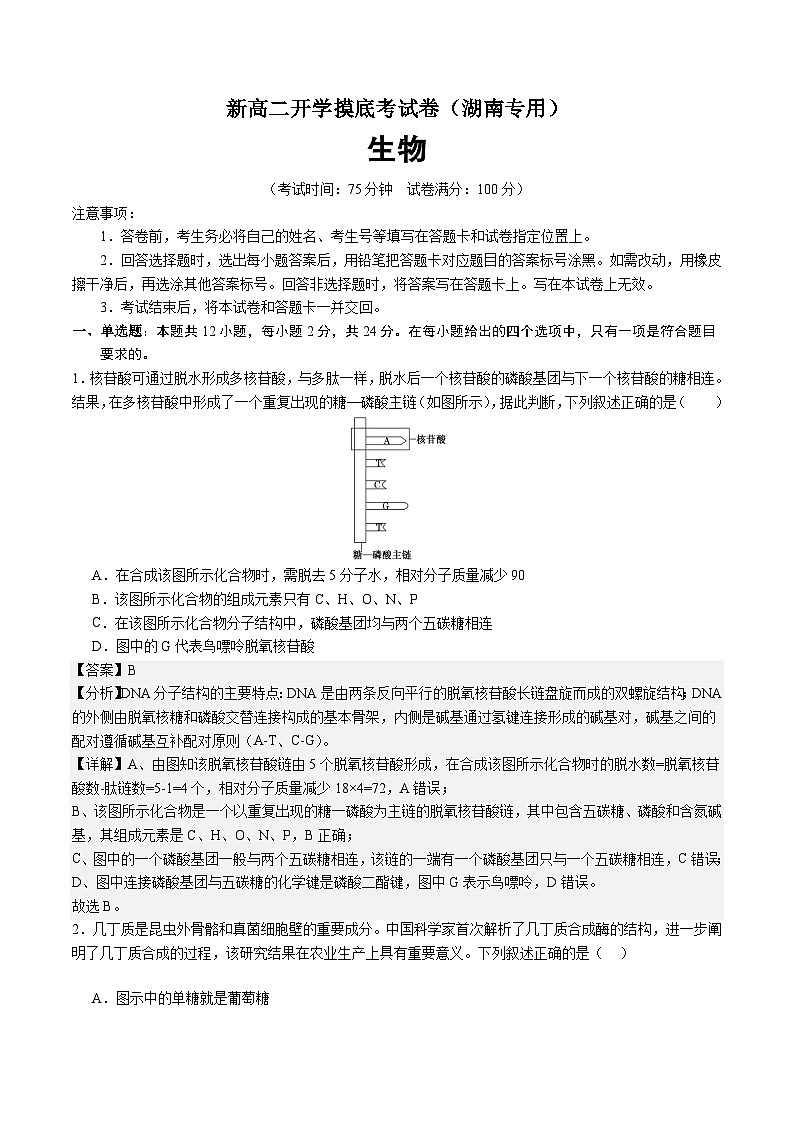 【开学考】2024秋高二上册开学摸底考试卷高二上册开学摸底考试卷生物(湖南专用)01