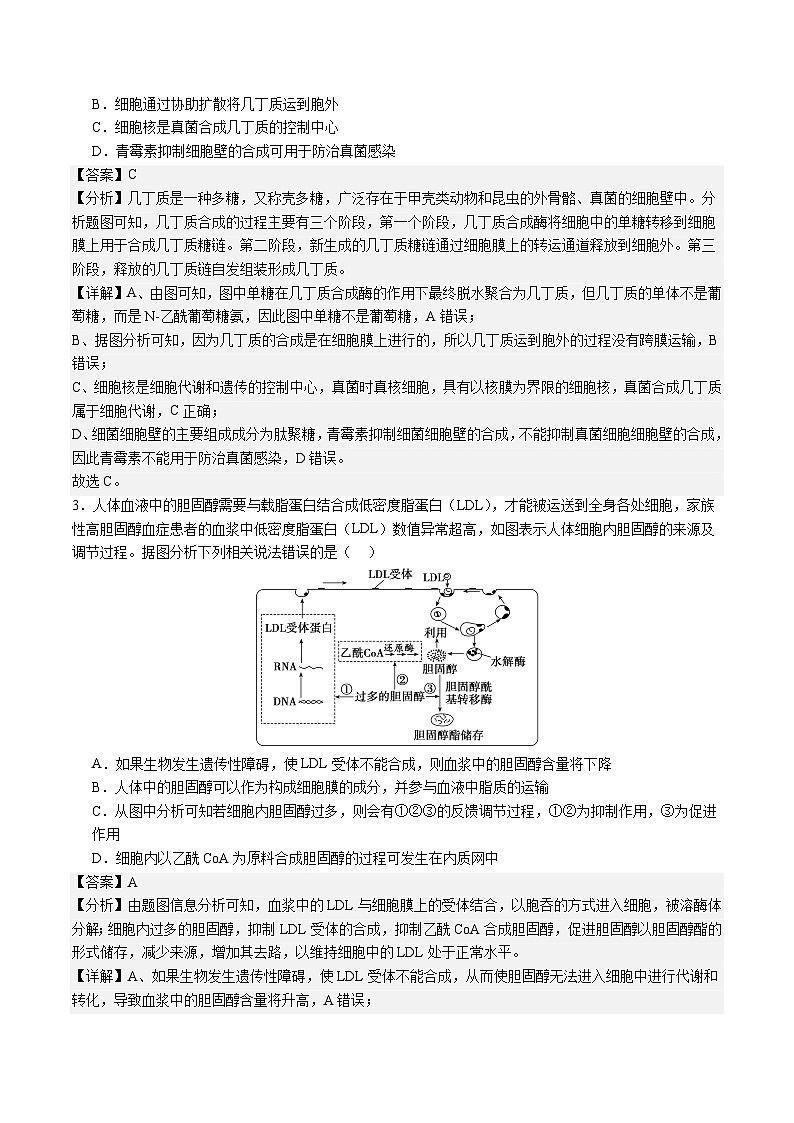 【开学考】2024秋高二上册开学摸底考试卷高二上册开学摸底考试卷生物(湖南专用)02