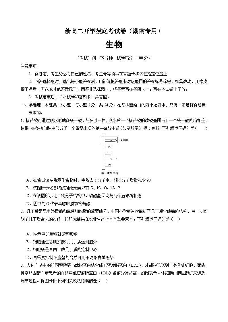 【开学考】2024秋高二上册开学摸底考试卷高二上册开学摸底考试卷生物(湖南专用)01