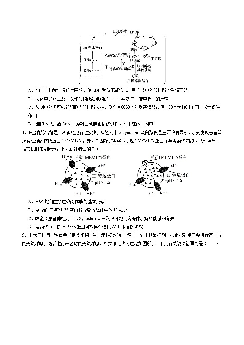 【开学考】2024秋高二上册开学摸底考试卷高二上册开学摸底考试卷生物(湖南专用)02