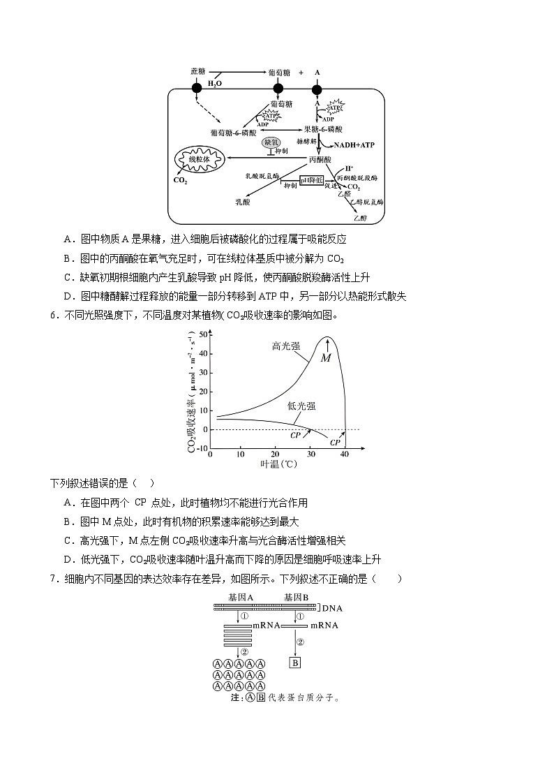 【开学考】2024秋高二上册开学摸底考试卷高二上册开学摸底考试卷生物(湖南专用)03
