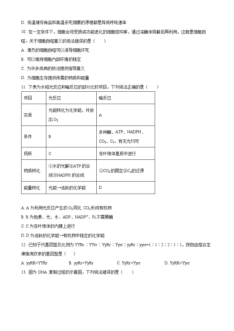 重庆市万州区2023-2024学年高一下学期7月期末考试生物试卷(Word版附解析)第3页
