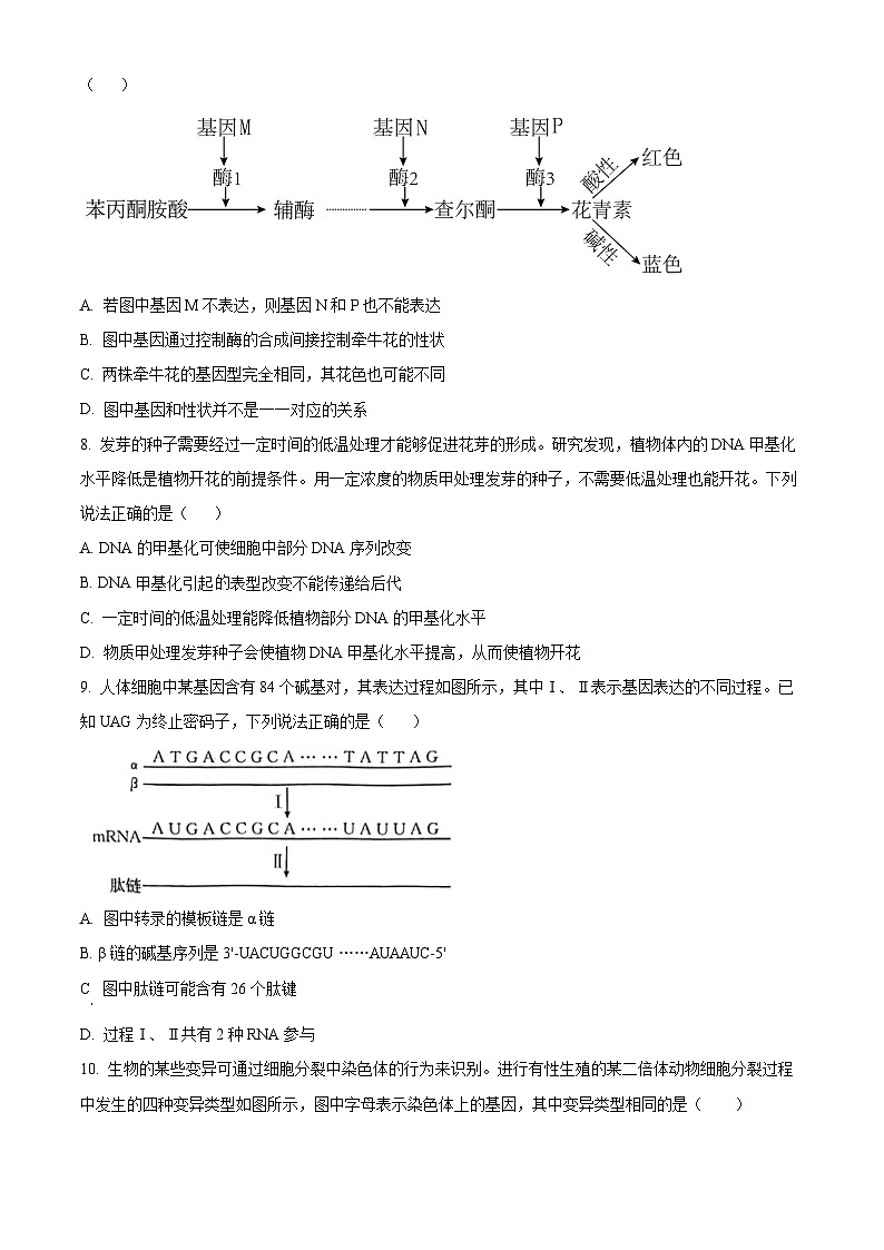 河南省南阳市2023-2024学年高一下学期期末考试生物试卷(Word版附解析)03