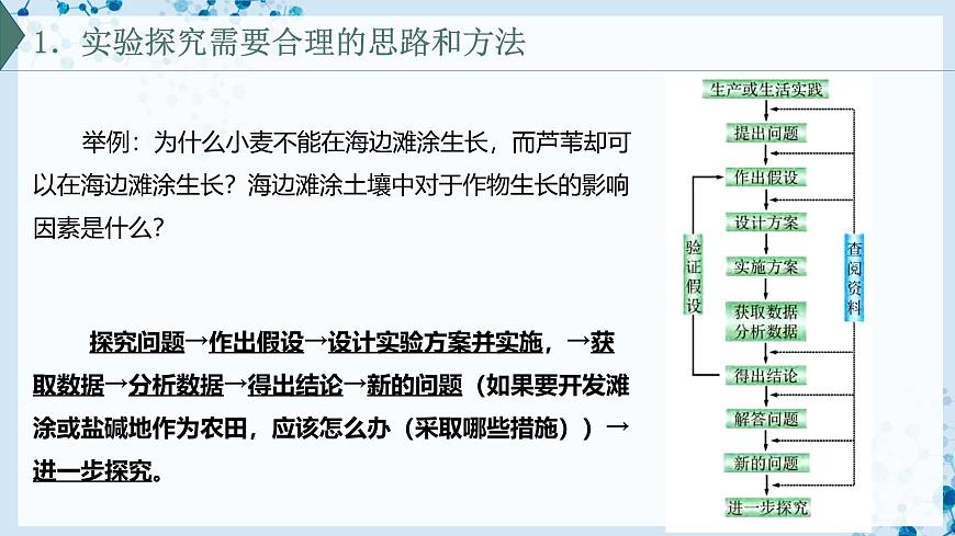 【滬科技版】生物必修一  1.2 實(shí)驗(yàn)探究是學(xué)習(xí)生物學(xué)的重要途徑（教學(xué)課件）第4頁(yè)