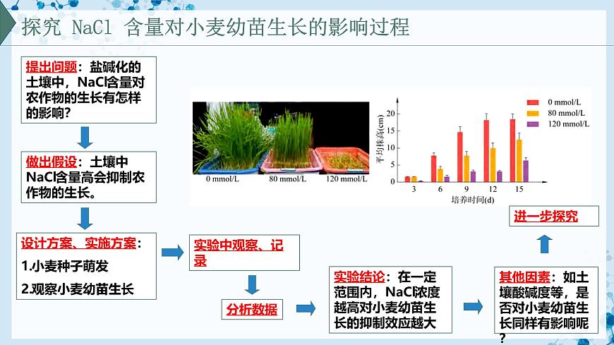 【滬科技版】生物必修一  1.2 實(shí)驗(yàn)探究是學(xué)習(xí)生物學(xué)的重要途徑（教學(xué)課件）第6頁(yè)