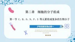 【沪科技版】生物必修一  2.1 C、H、O、N、P、S 等元素组成复杂的生物分子（教学课件）