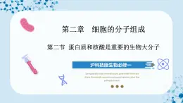 【沪科技版】生物必修一  2.2 蛋白质和核酸是重要的生物大分子（教学课件）