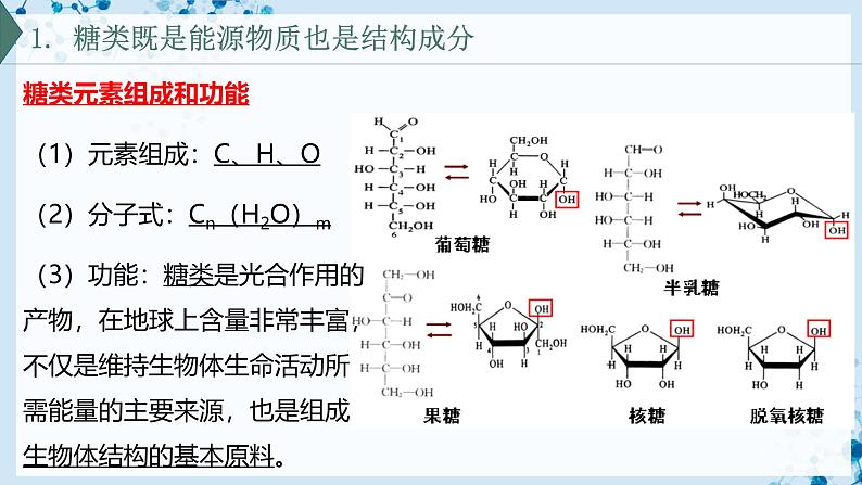 【沪科技版】生物必修一 2.3 糖类和脂质是细胞的结构成分和能源物质(教学课件)04