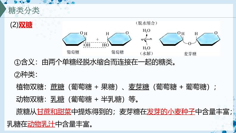 【沪科技版】生物必修一 2.3 糖类和脂质是细胞的结构成分和能源物质(教学课件)07