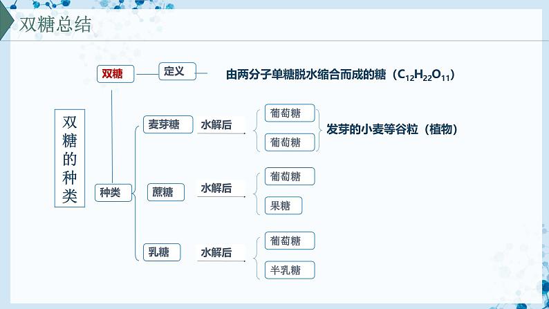 【沪科技版】生物必修一 2.3 糖类和脂质是细胞的结构成分和能源物质(教学课件)08