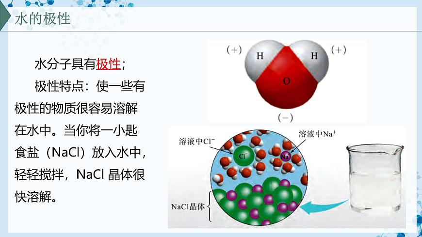 【滬科技版】生物必修一  2.4 水和無(wú)機(jī)鹽是生命活動(dòng)的必需物質(zhì)（教學(xué)課件）第8頁(yè)