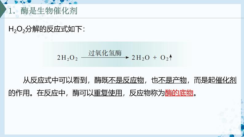 【沪科技版】生物必修一 4.2 酶催化细胞的化学反应(教学课件)05