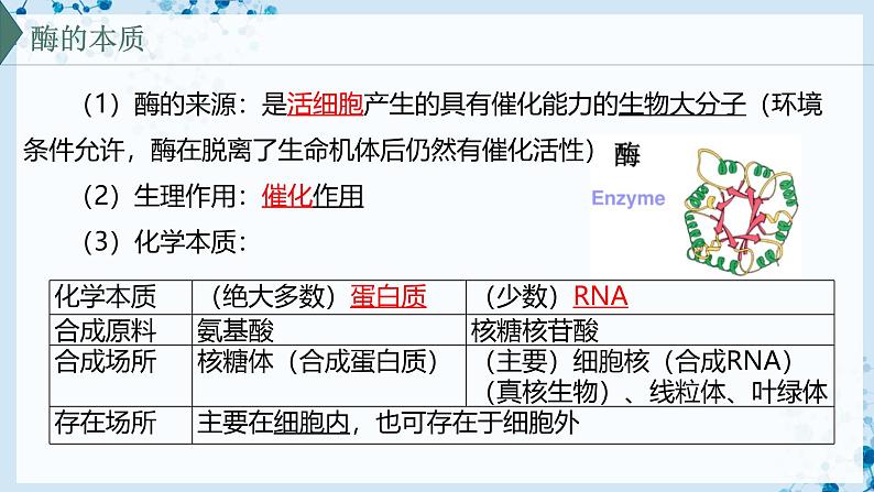 【沪科技版】生物必修一 4.2 酶催化细胞的化学反应(教学课件)06