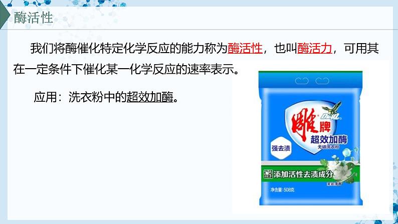 【沪科技版】生物必修一 4.2 酶催化细胞的化学反应(教学课件)07