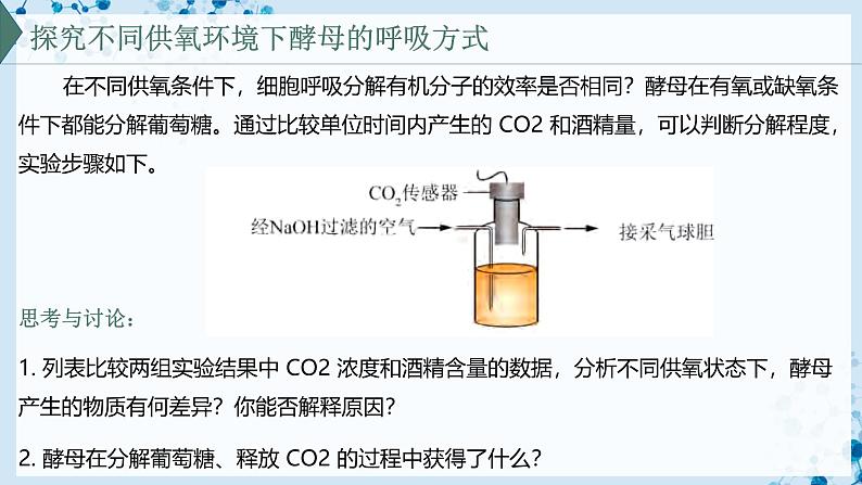 【沪科技版】生物必修一 4.3 细胞通过分解有机分子获取能量(教学课件)第3页